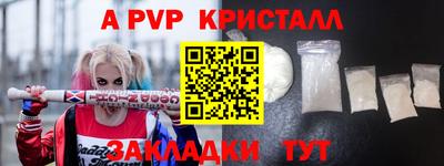 эйфоретик Гай
