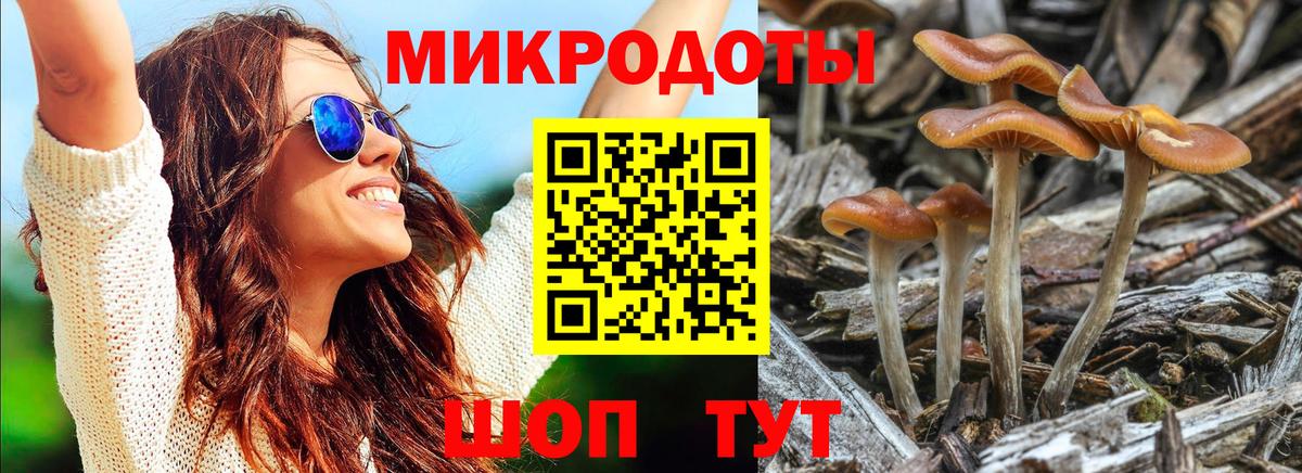 Галлюциногенные грибы GOLDEN TEACHER  Галлюциногенные грибы мицелий  магазин  наркотиков  Вход с VPN  Екатеринбург 