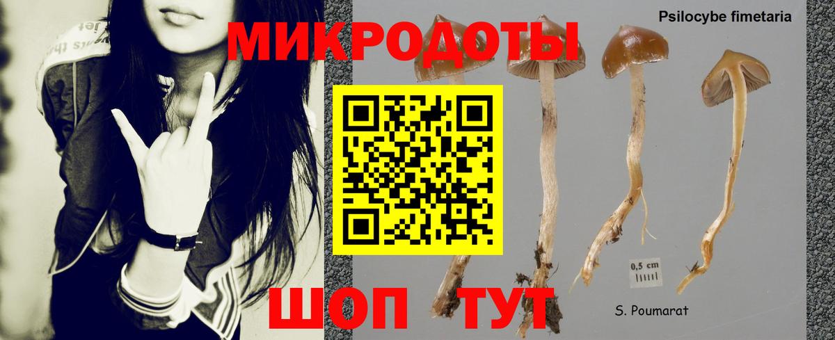 Псилоцибиновые грибы прущие грибы Екатеринбург