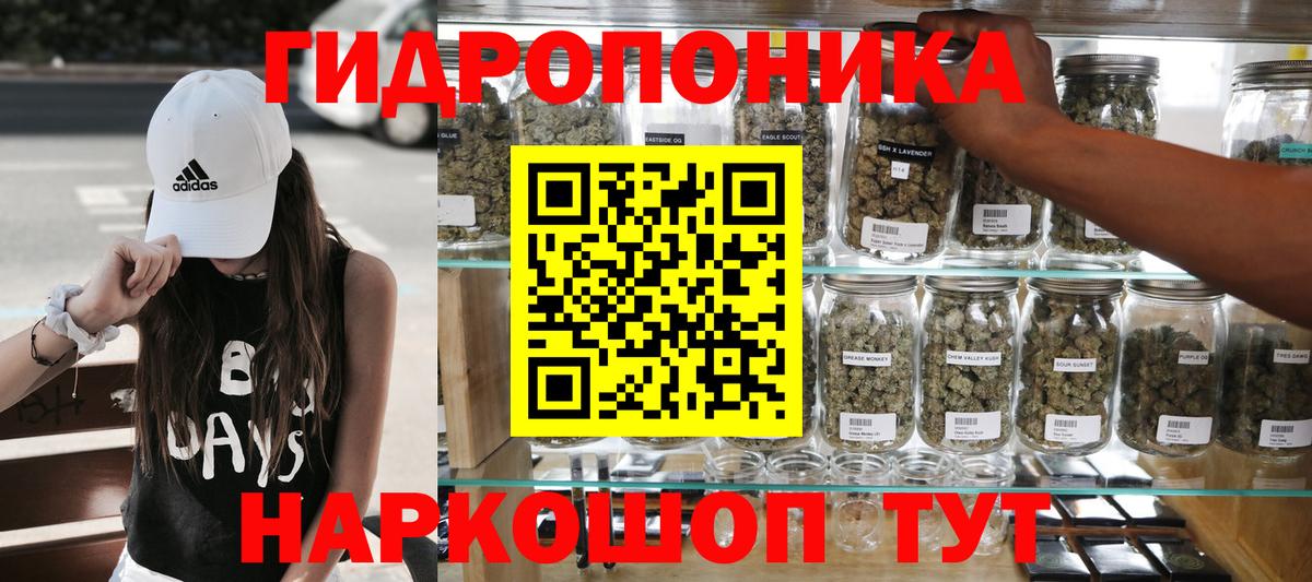 Конопля сатива Екатеринбург